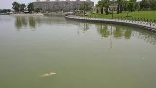 Toda la Costa del Sol registra ya algún corte diario de agua ante la falta de lluvias