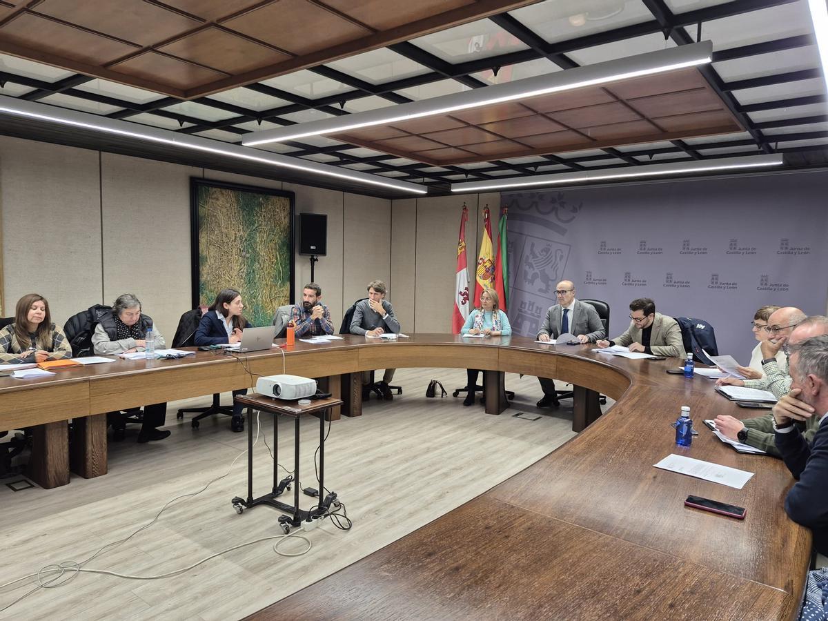 Reunión de la Comisión de Patrimonio