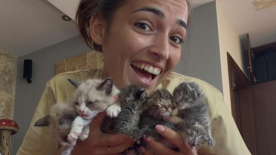Agónico rescate con videollamada incluida de cuatro gatitos recién nacidos en Praia América