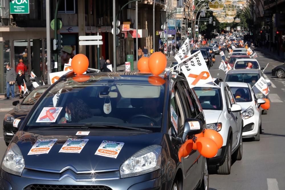 Miles de murcianos protestan en las calles contra la ley Celaá