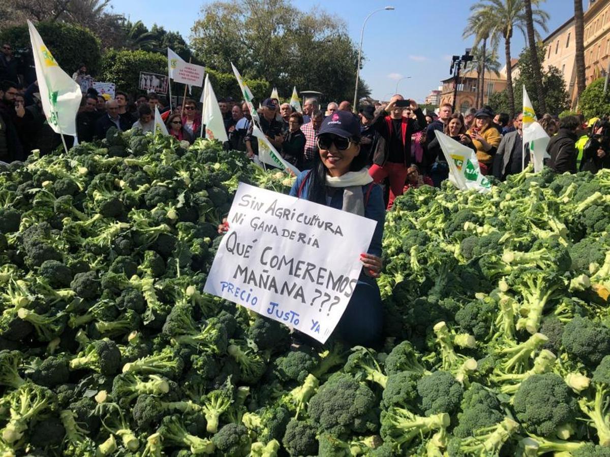 Así te hemos contado la manifestación del campo en la Región