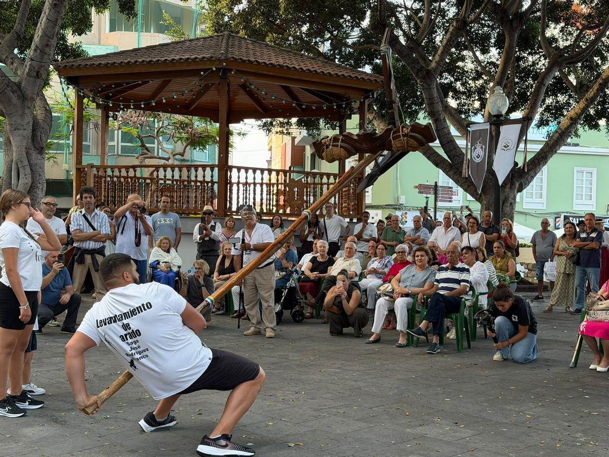 Romería del Carmen en el barrio de San Gregorio, en Telde