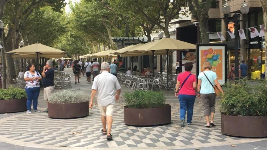 Les noves jardineres del Passeig.