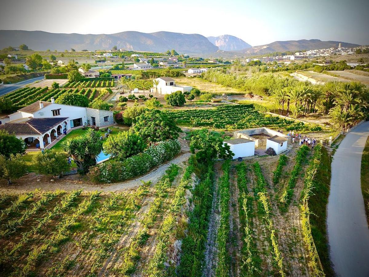 Las uvas para elaborar M de Alejandría crecen en las viñas de la Finca La Alberca, ubicada en Teulada Moraira