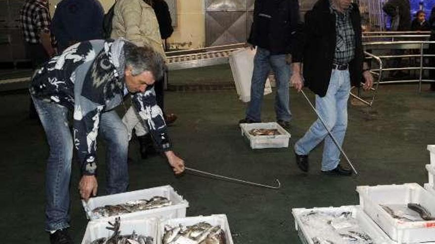 Actividad en la lonja de Portonovo.  // Noé Parga