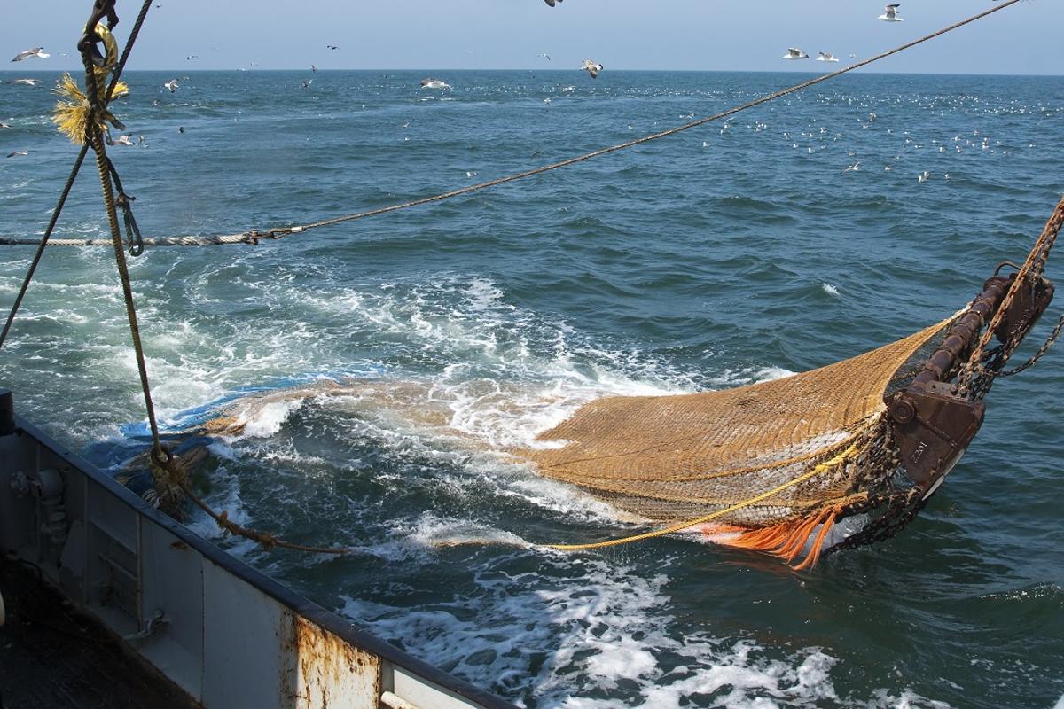 La pesca de arrastre es especialmente destructiva para el fondo marino