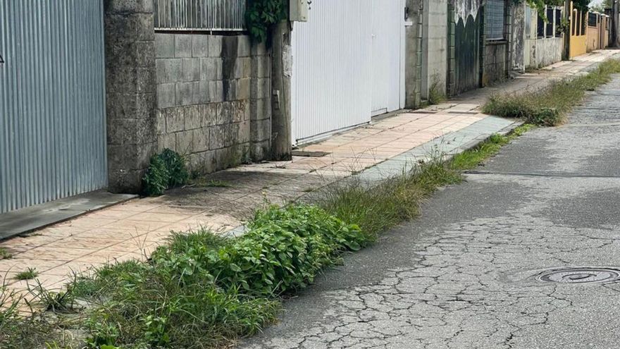 El PP denuncia el abandono de las calles del barrio de A Lomba