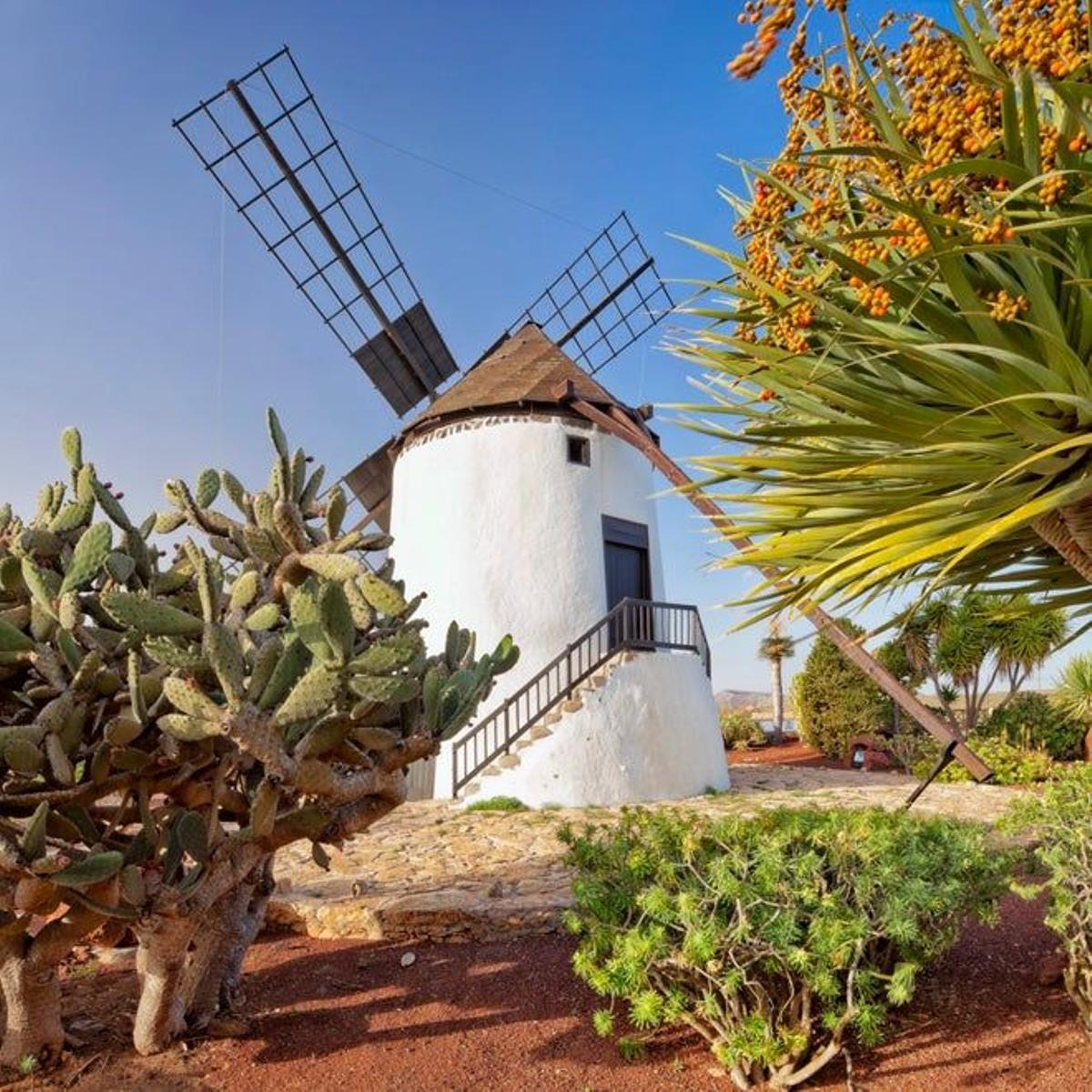 Molino de viento de Antigua, en el centro de Fuerteventura.