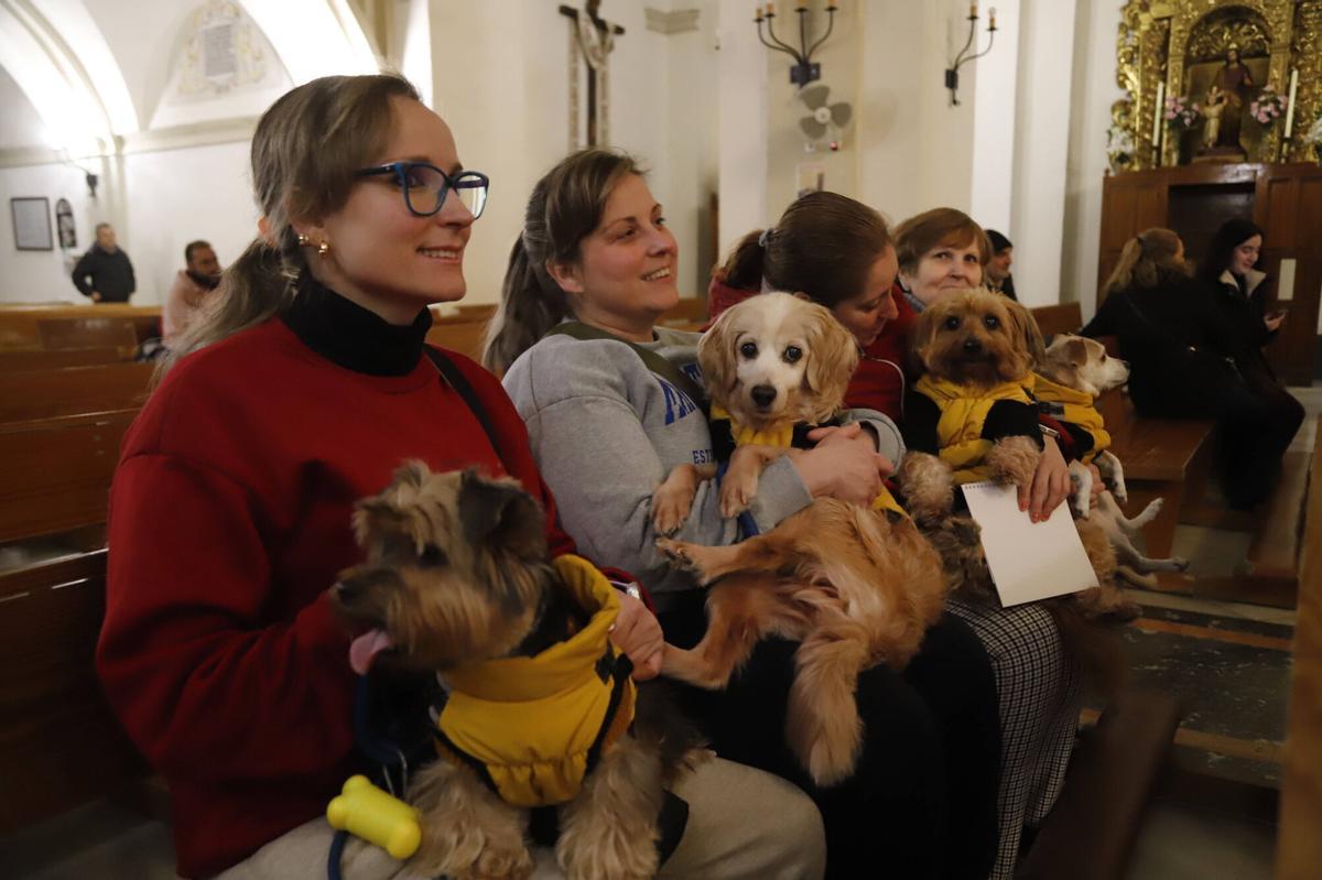 Bendición de mascotas por el día de San Antón en Córdoba
