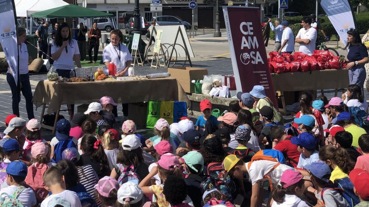 Escolares baioneses retiran microplásticos de A Concheira