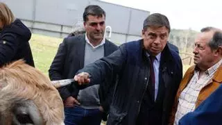 "Comparto la angustia de los ganaderos con el lobo y los defenderé", avisa el ministro Planas