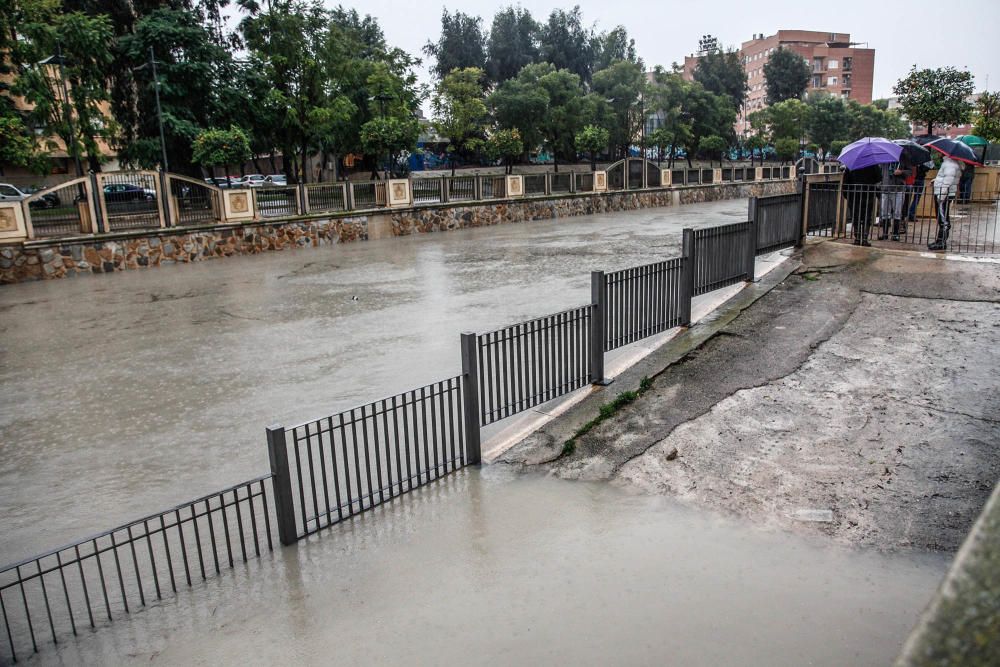 El Segura, a punto de desbordarse en Orihuela