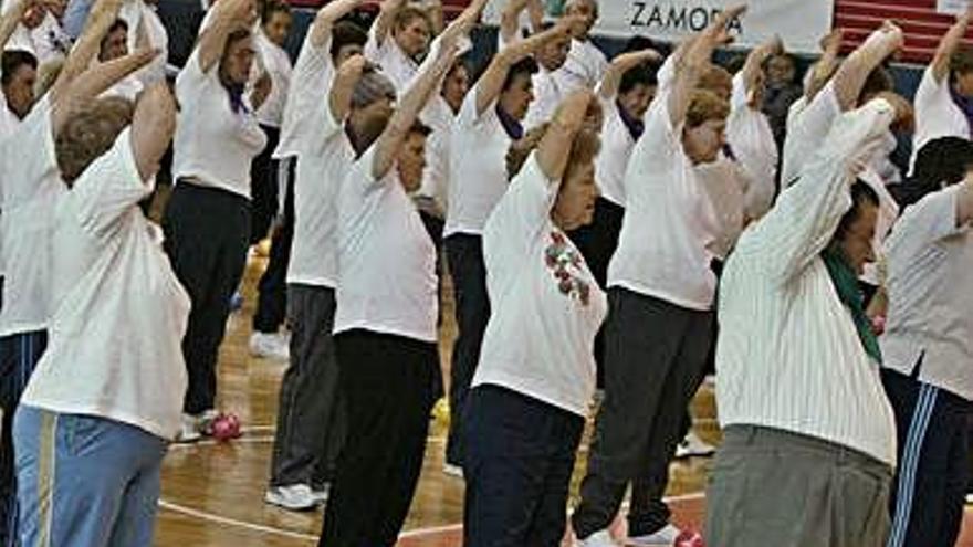 Imagen de una exhibición de gimnasia de mantenimiento anterior.