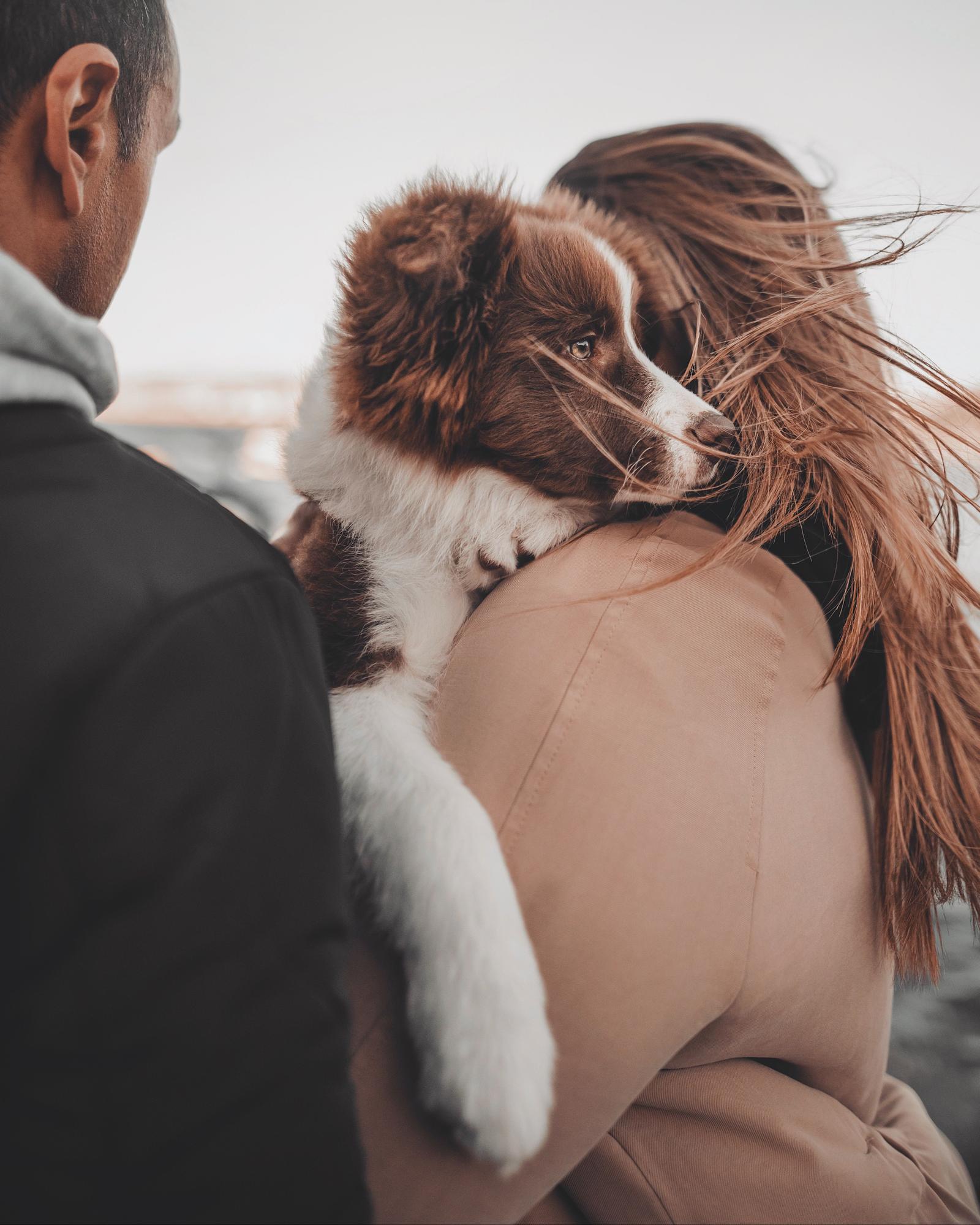 Retratos para concienciar contra el abandono animal