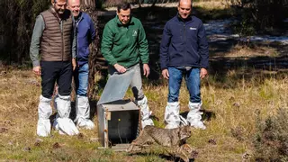 Moreno frena por tercera vez la aprobación del plan de regadíos en Doñana