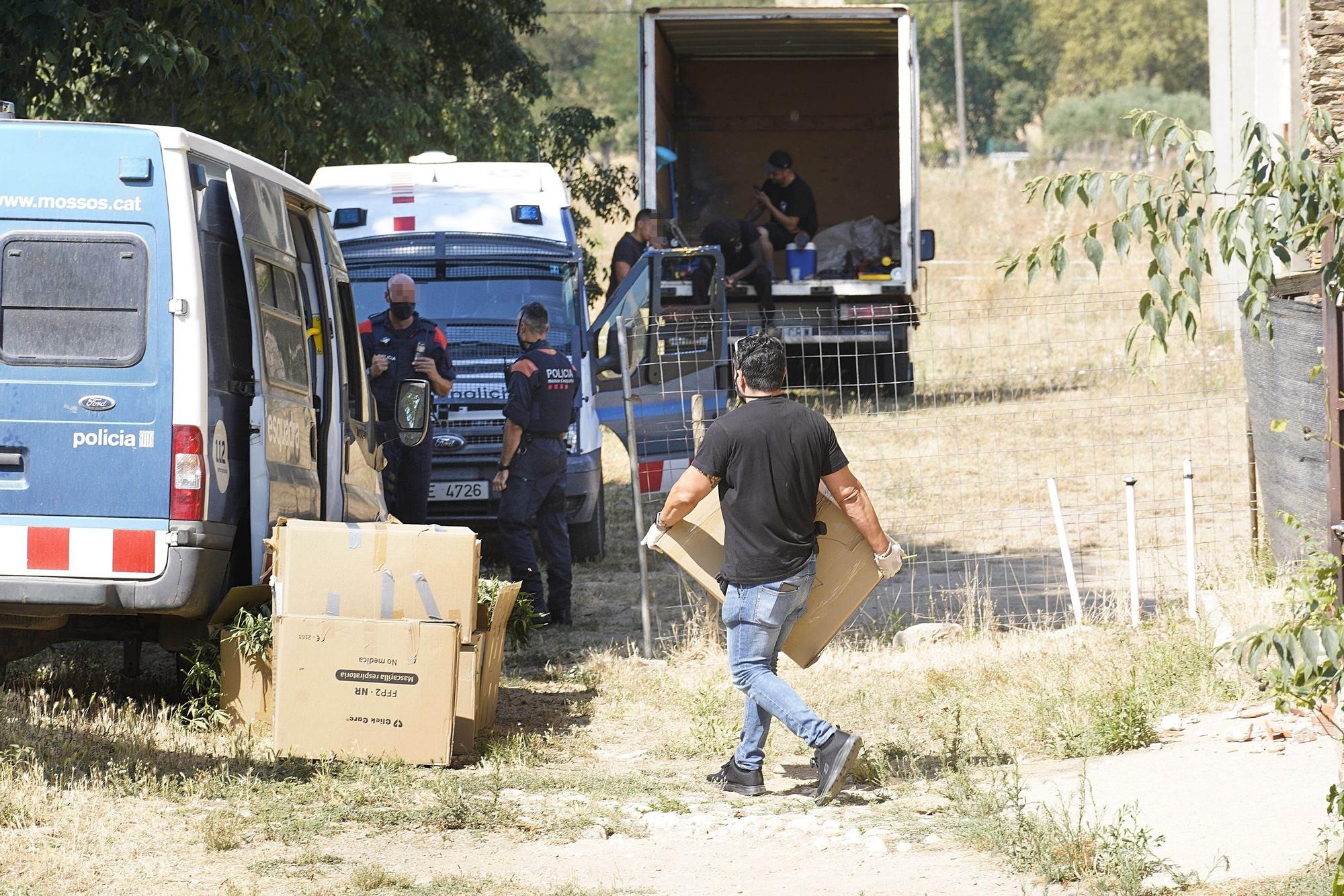 Plantació de marihuana en un mas de Quart