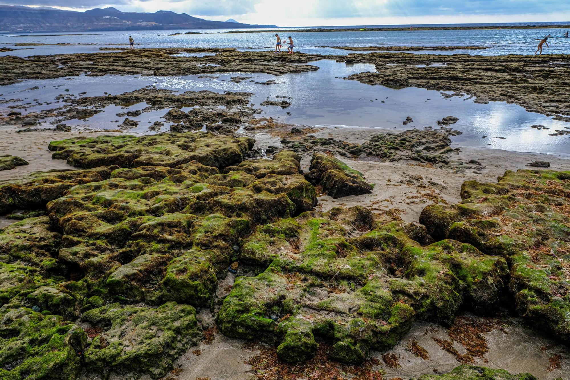 Playas fósiles de Las Canteras