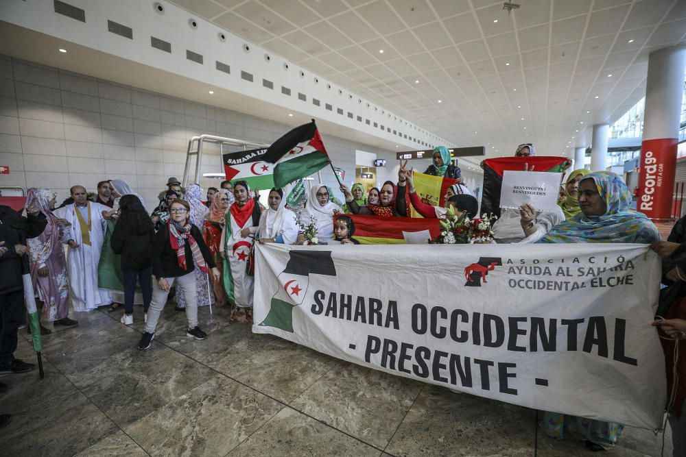 Vuelven los cooperantes del Sáhara Occidental