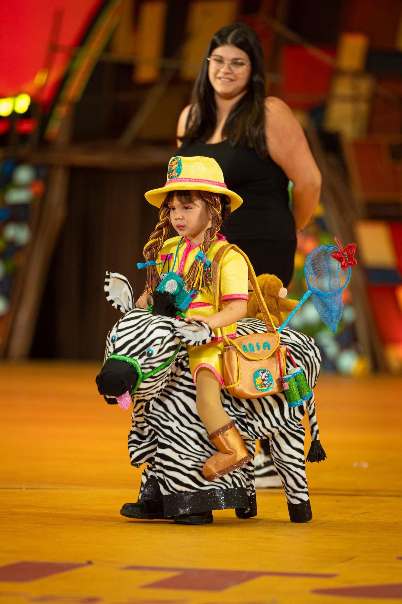 Concurso de disfraces del Carnaval de Santa Cruz