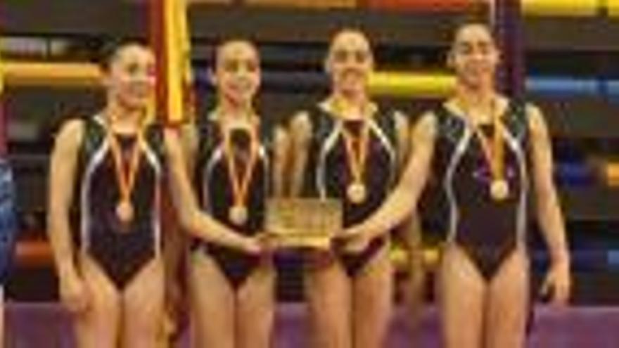 Nora Fernández es proclama campiona d&#039;Espanya individual de gimnàstica