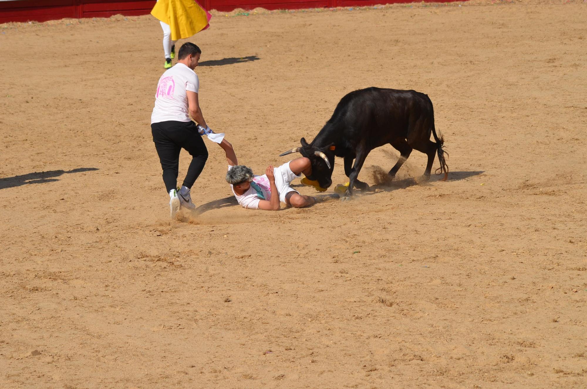 Fiestas del Toro en Benavente: Las mejores imágenes del "Juego de la NTE"