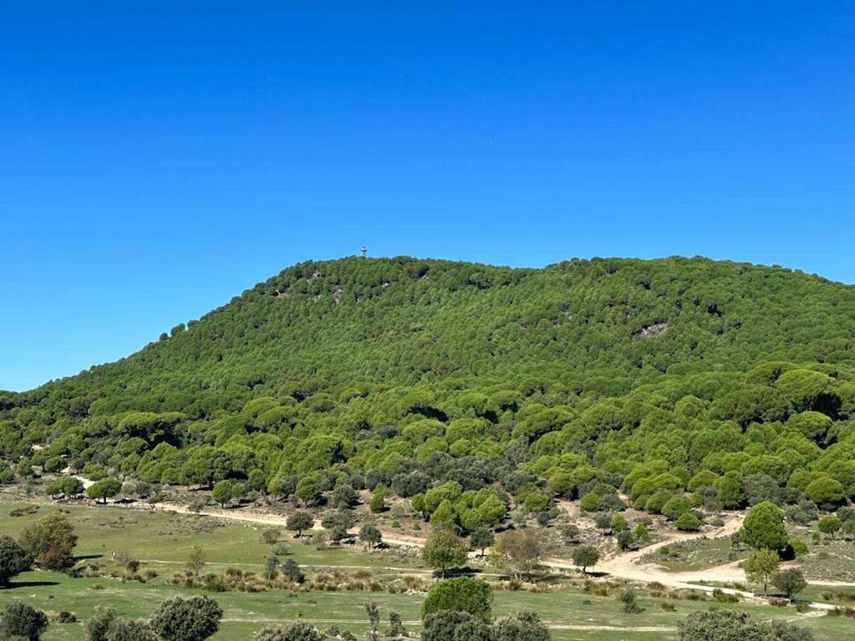 Un entorno rodeado de naturaleza.