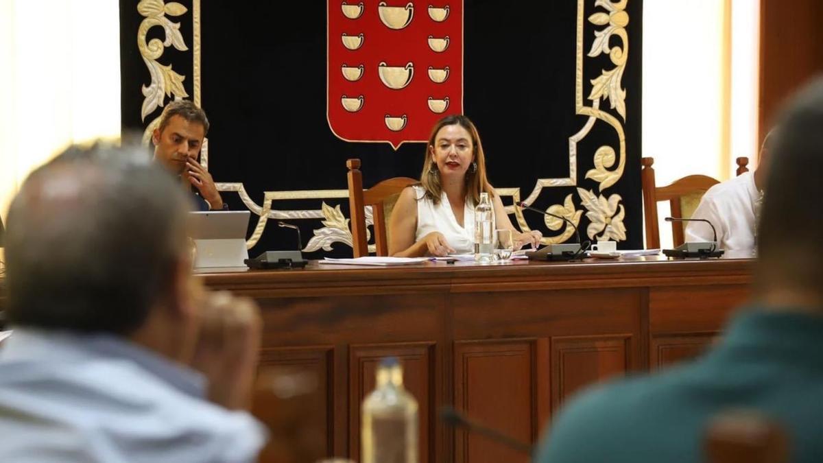 María Dolores Corujo preside el pleno de la corporación insular el pasado lunes. | | CABILDO DE LANZAROTE