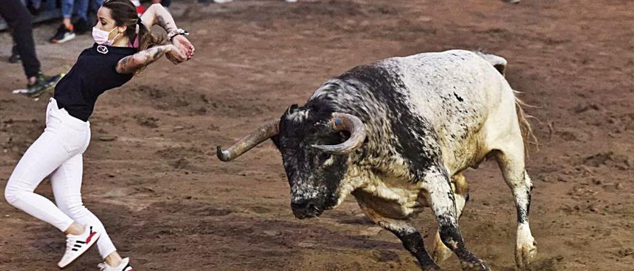 Una joven recorta a un toro en una de las exhibiciones del pasado sábado. | MEDITERRÁNEO