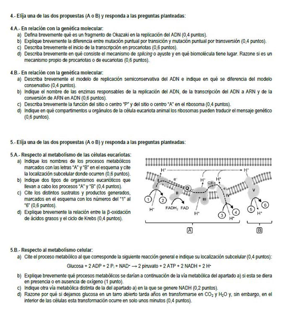 Examen de Biología de la PAU 2026 de Madrid