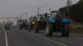 La Junta apunta que las tractoradas deben celebrarse "dentro de la ley"