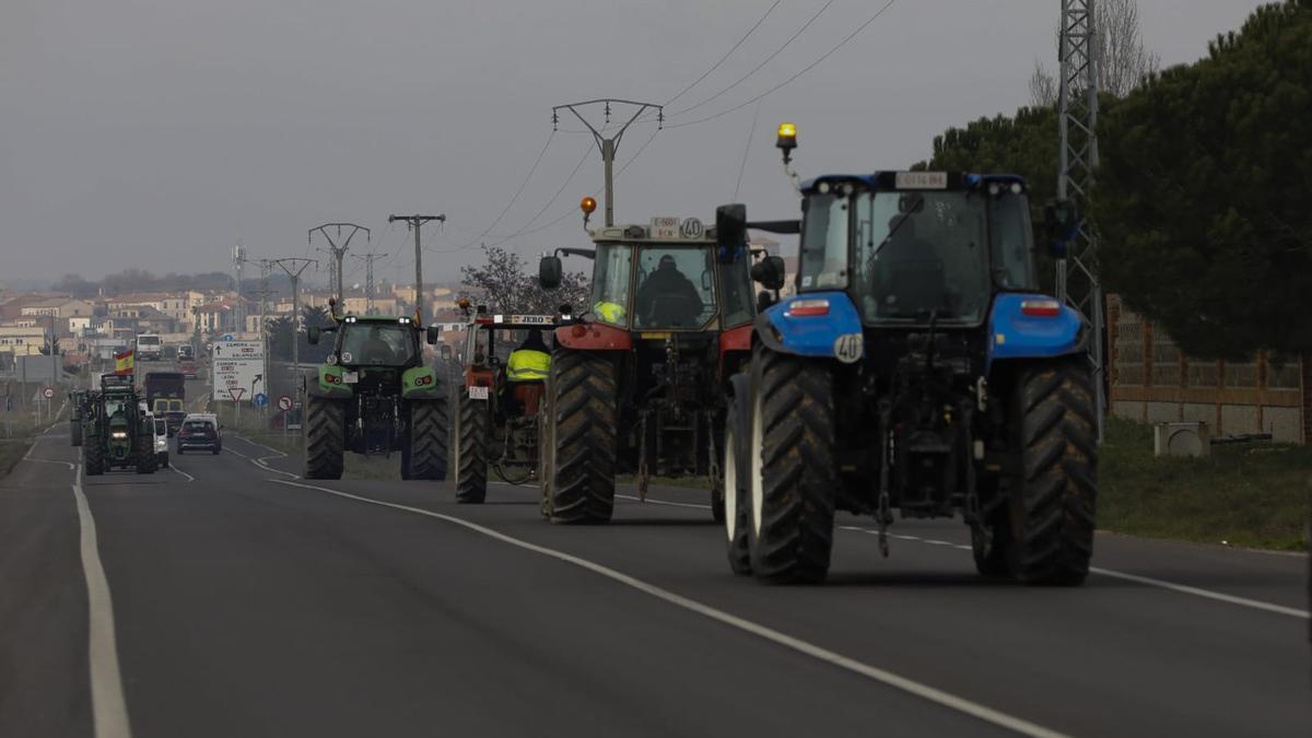 Tractores en las proximidades de Zamora, esta mañana