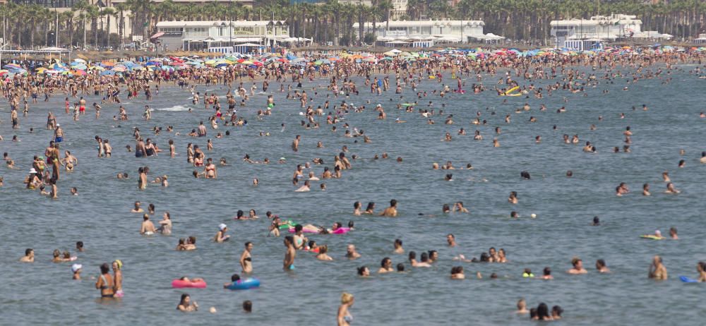 Alerta por altas temperaturas en la C. Valenciana