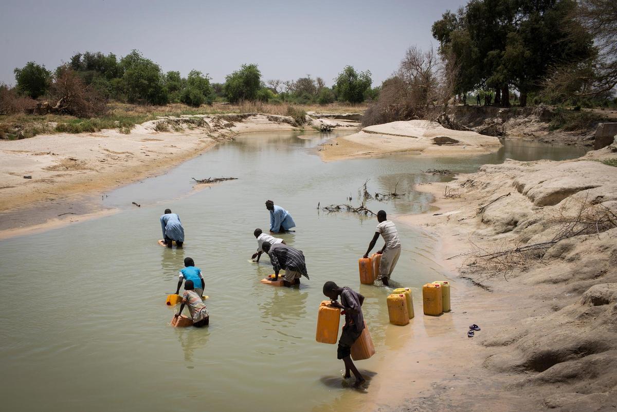 La escasez de agua afecta a los cultivos, sobre todo en África
