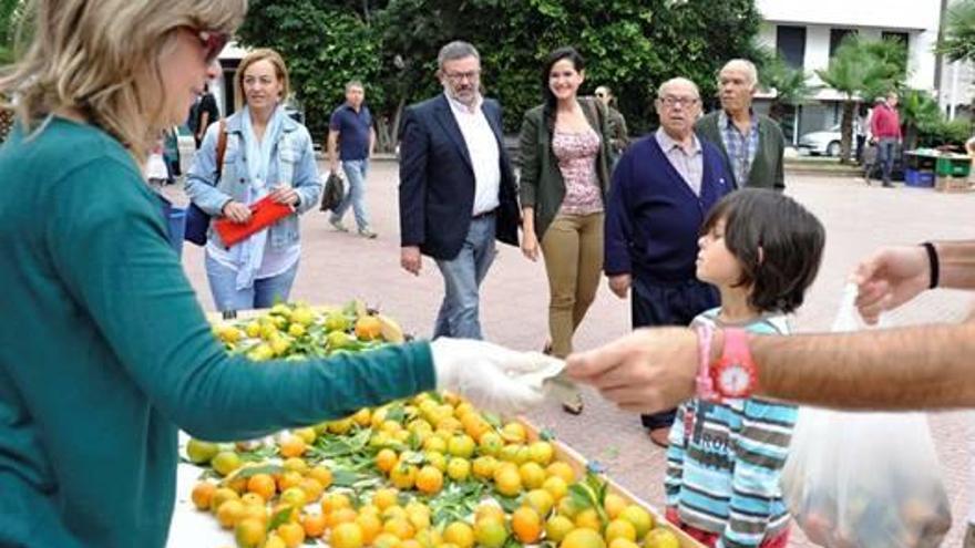 Una parada en el Mercat de la Taronja.