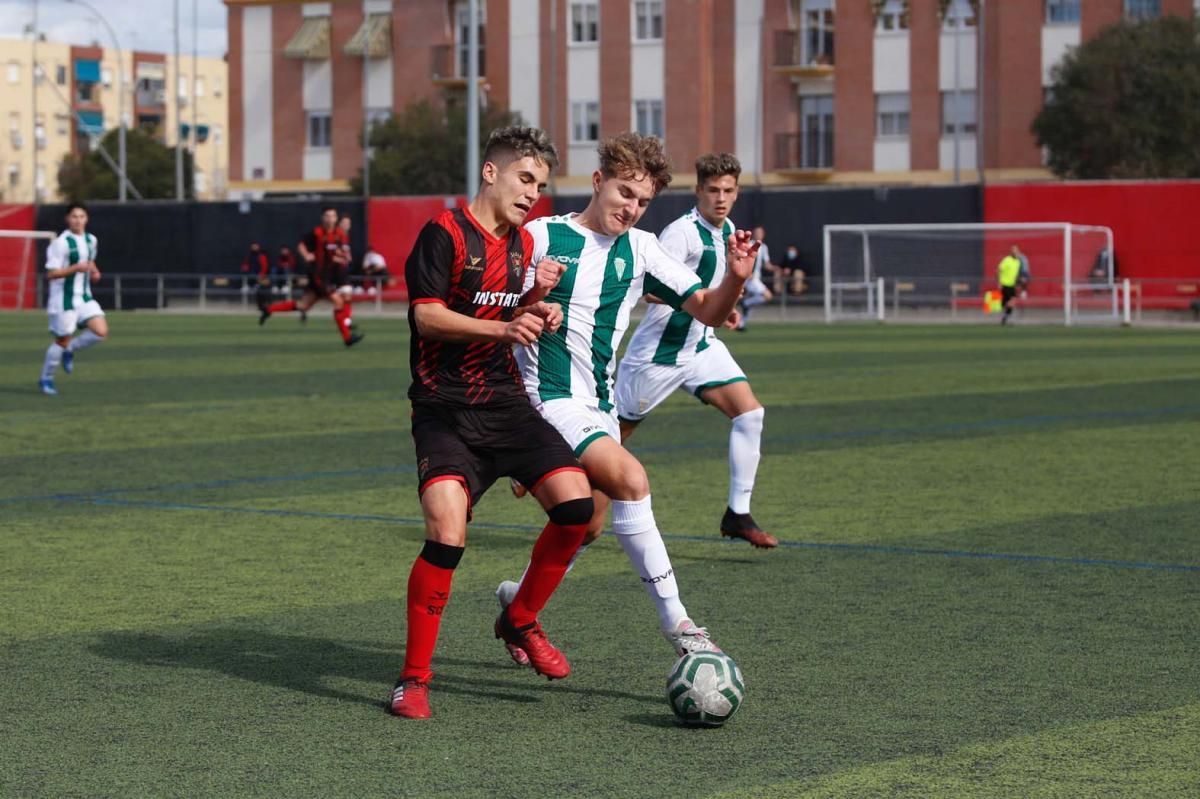 Séneca-Córdoba. Derbi de la División de Honor Juvenil.