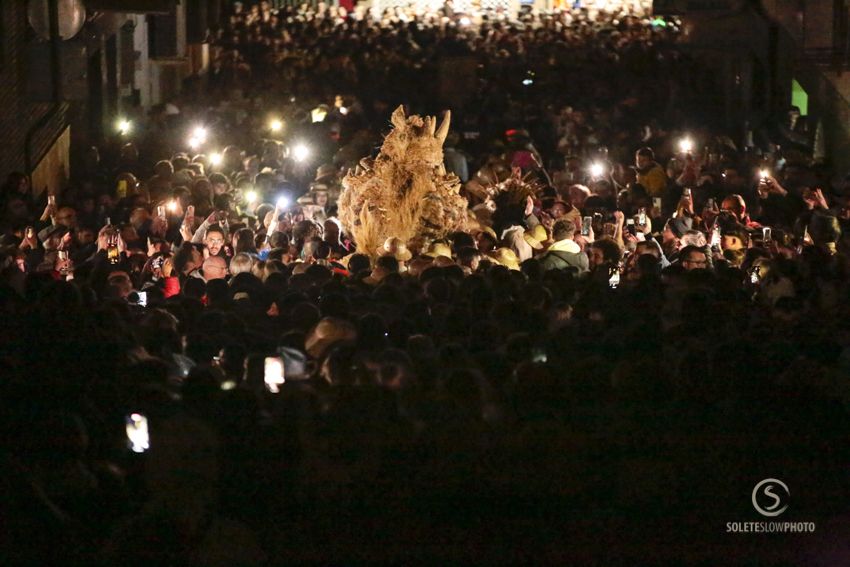 Suelta de la Mussona en el Carnaval de Águilas