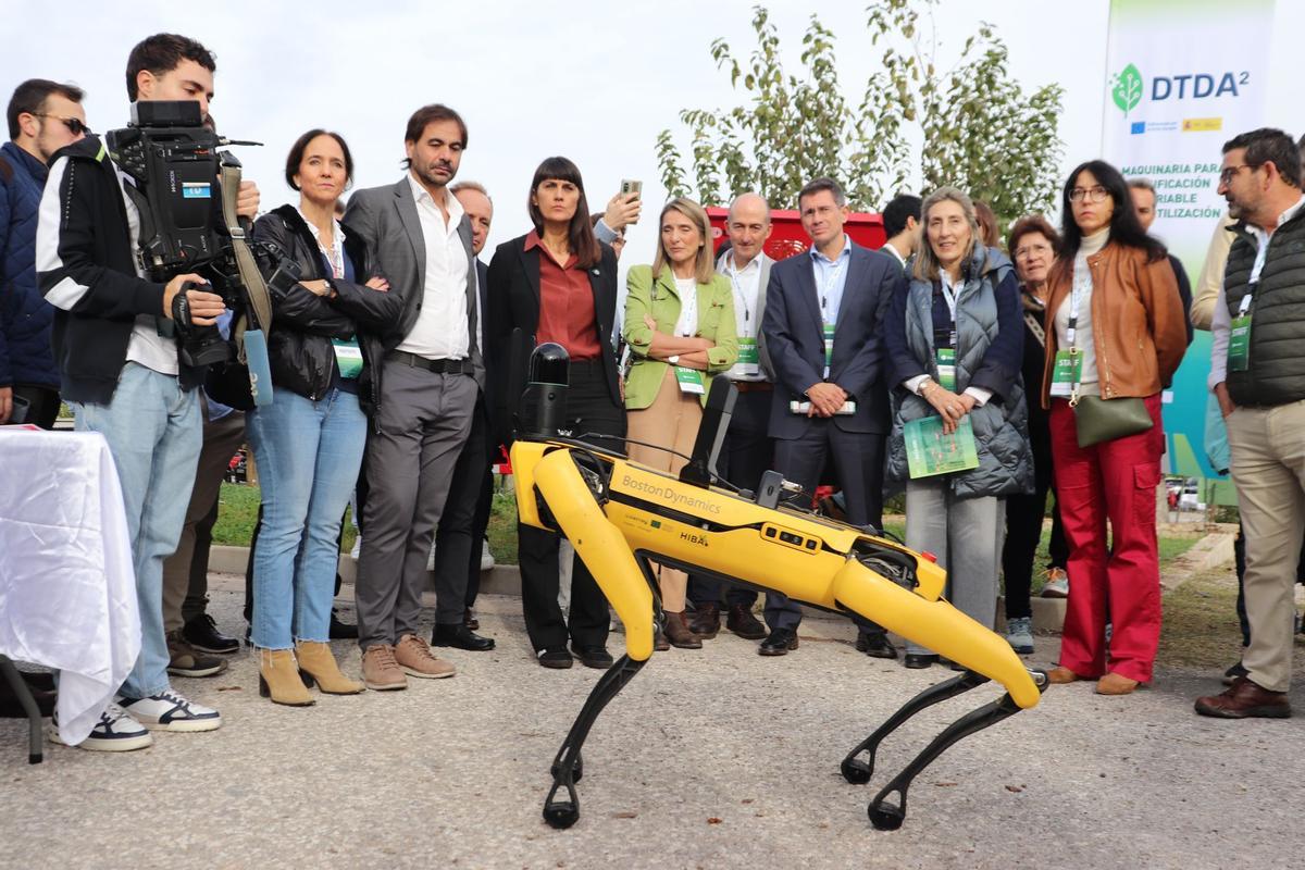 Un robot terrestre capaz de detectar malas hierbas bajo la copa de los árboles con IA fue sin duda uno de los productos que más llamó la atención.