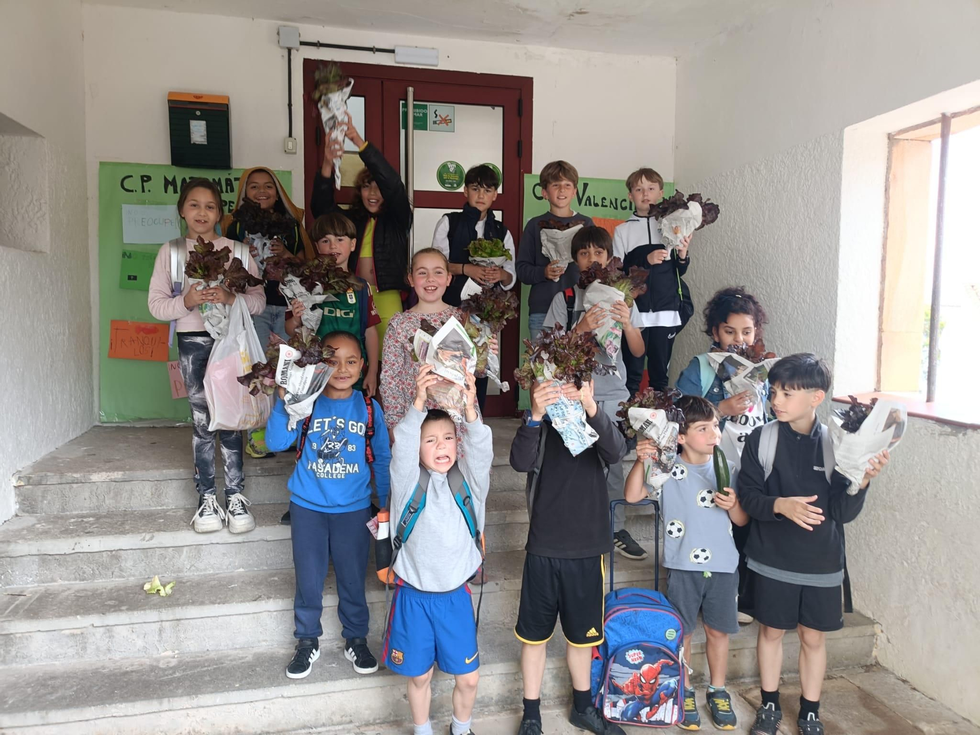 Colegio Público Matemático Pedrayes de Lastres