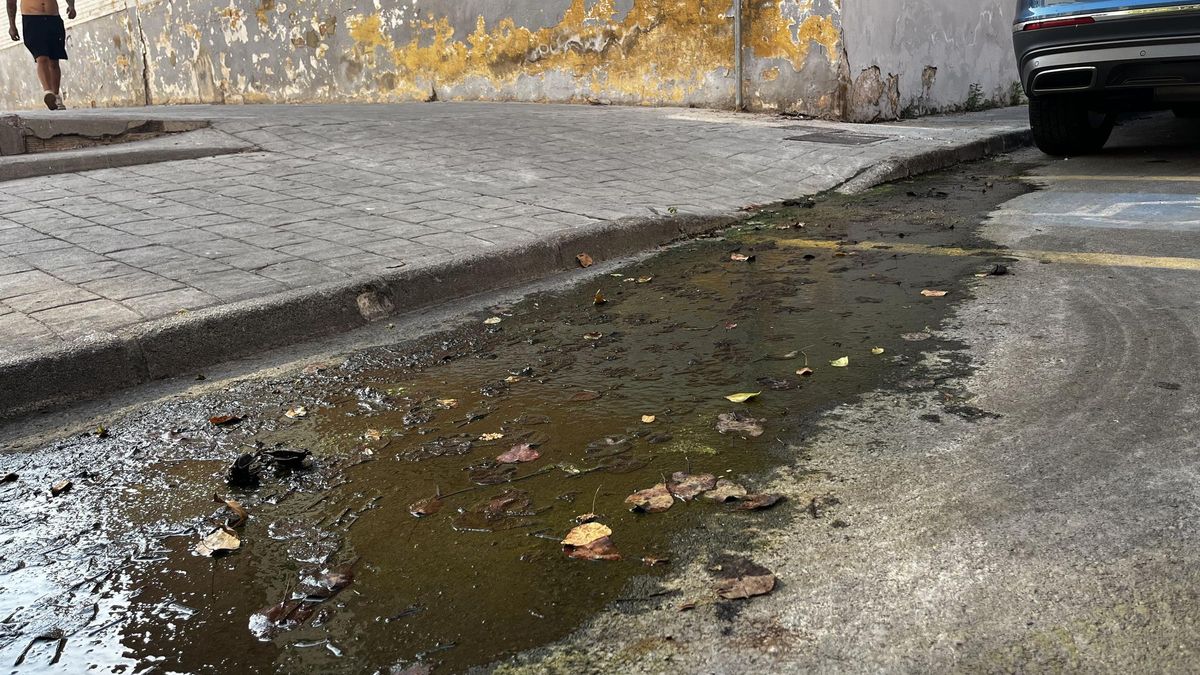El 'misterioso' vertido de aguas fecales que fluye de debajo de una acera en una calle de la Vall d'Uixó