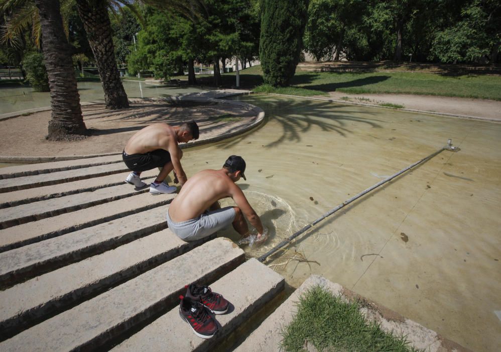 Parques y jardines para aliviar las altas temperat