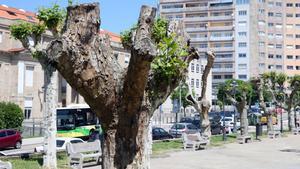 La presunta agresión sexual ocurrió en un piso de la calle Torrecedeira.