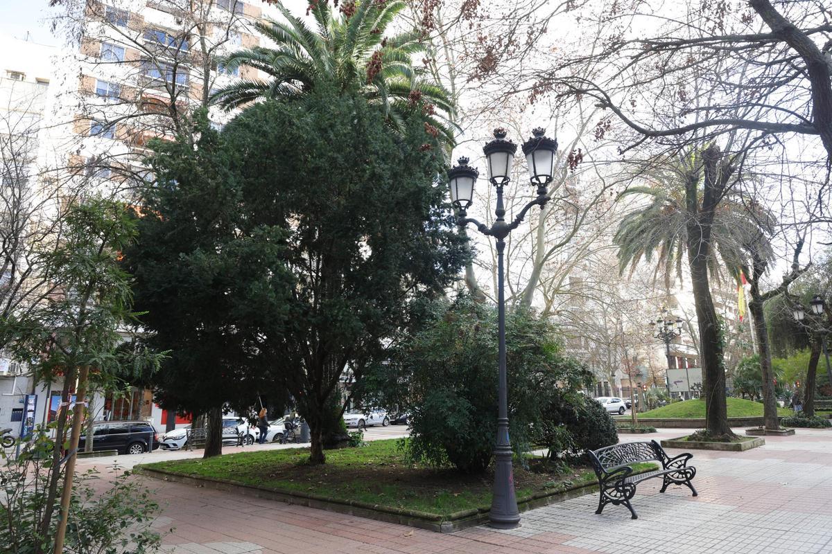 FOTOGALERÍA | La esperada reforma del Paseo de Cánovas de Cáceres, más cerca
