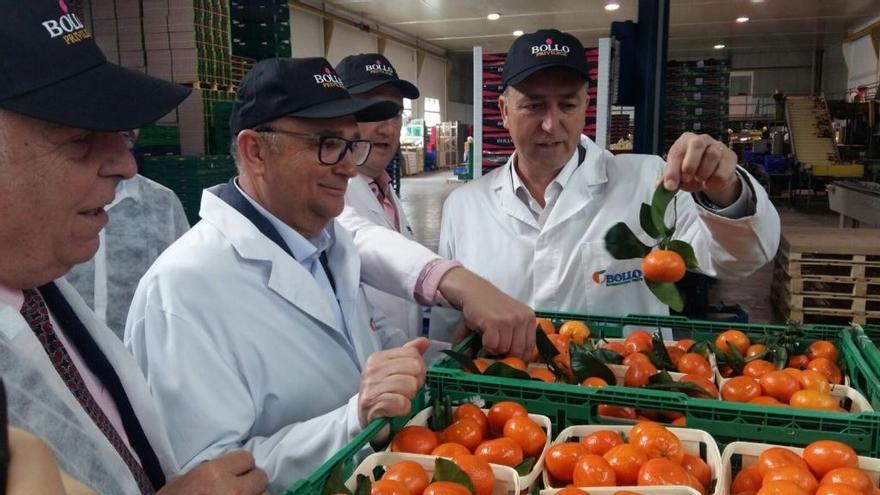 Dirrectivo de Bollo Internacional Fruits, con el conseller de Economía, Rafael Climent, en un almacén de la compañía.