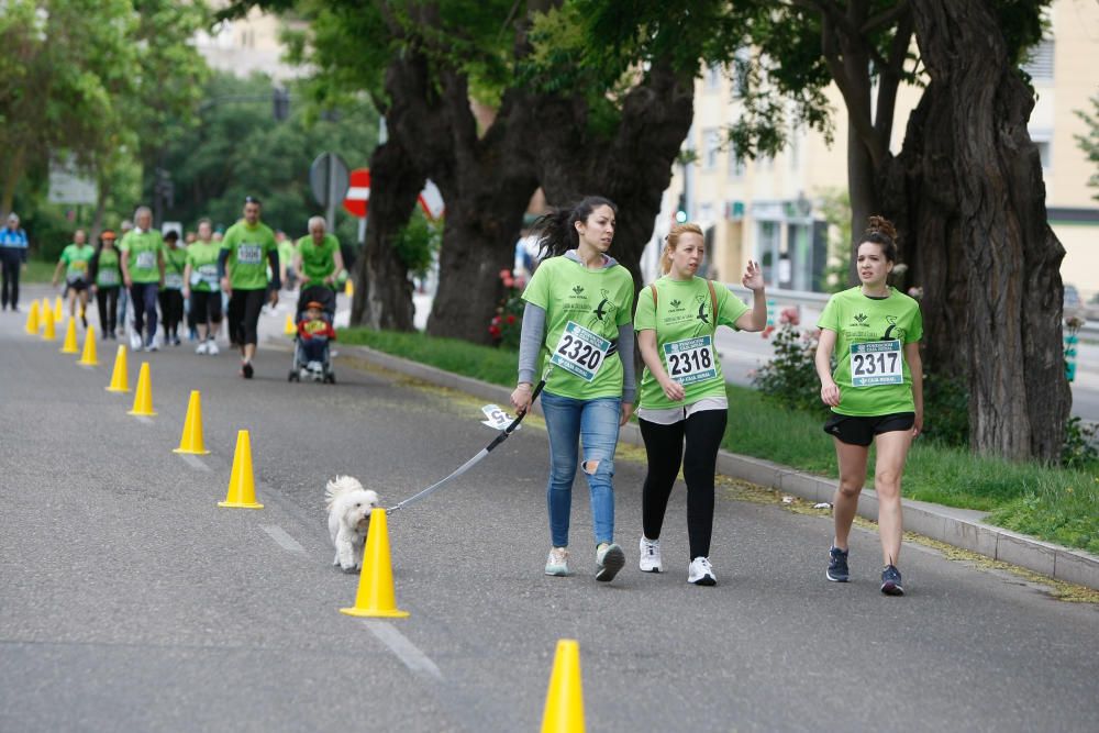 Carrera Esclerosis Múltiple