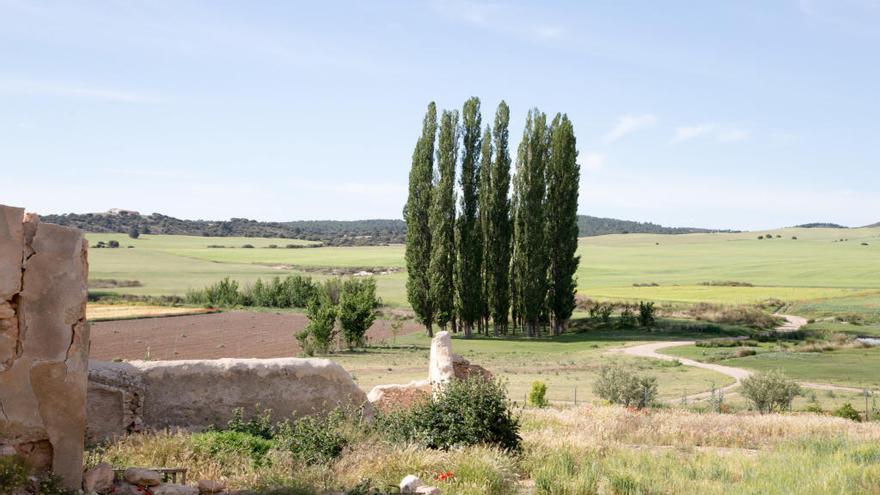 La finca cuenta con una extensión de más de 1.100 hectáreas y está situada en Caravaca, en el límite con la provincia de Almería.
