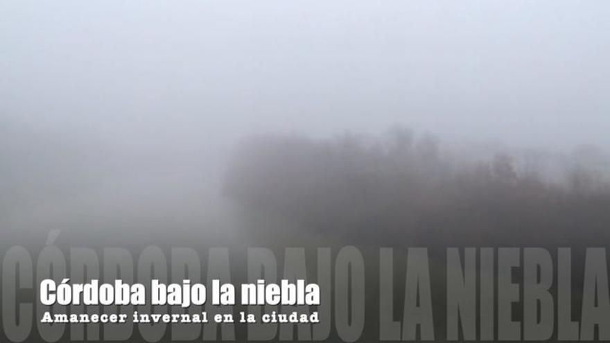 Córdoba amanece bajo la niebla