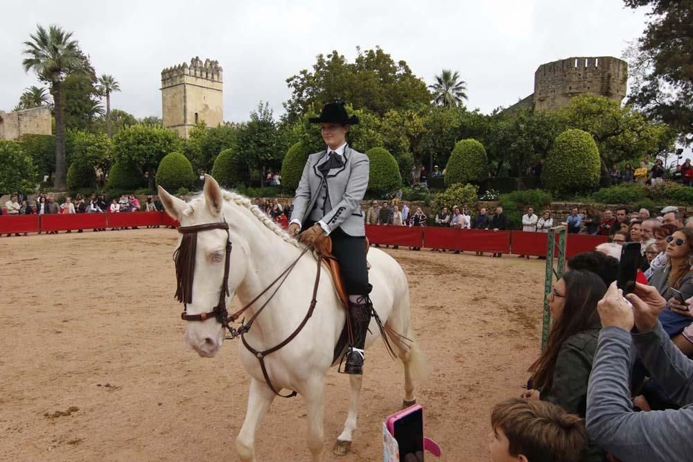 El caballo y su oficios en el Alcázar