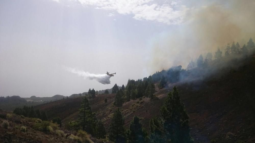 Incendio forestal en la zona de Montaña de Jedey, en La Palma