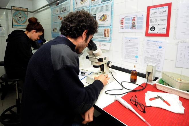 El Igafa abre sus puertas para observar la cría de bogavantes y rodaballos