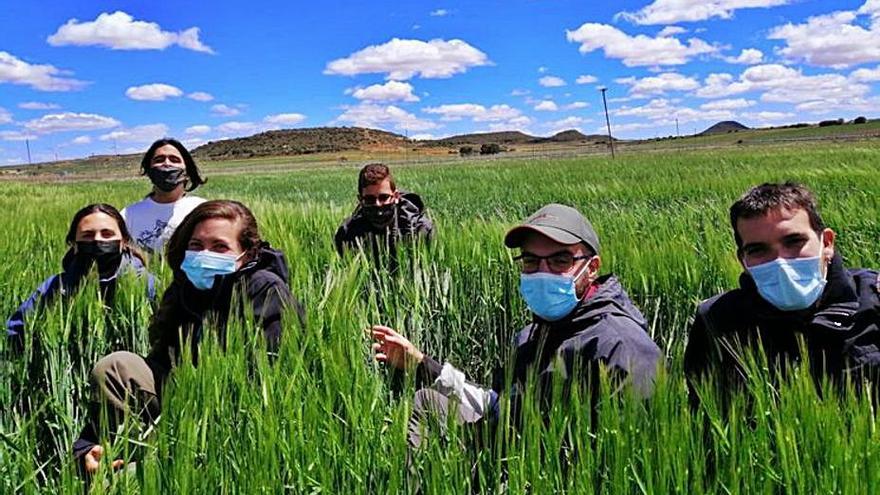 Algunos miembros del equipo de la Asociación Faunatura. | INFORMACIÓN